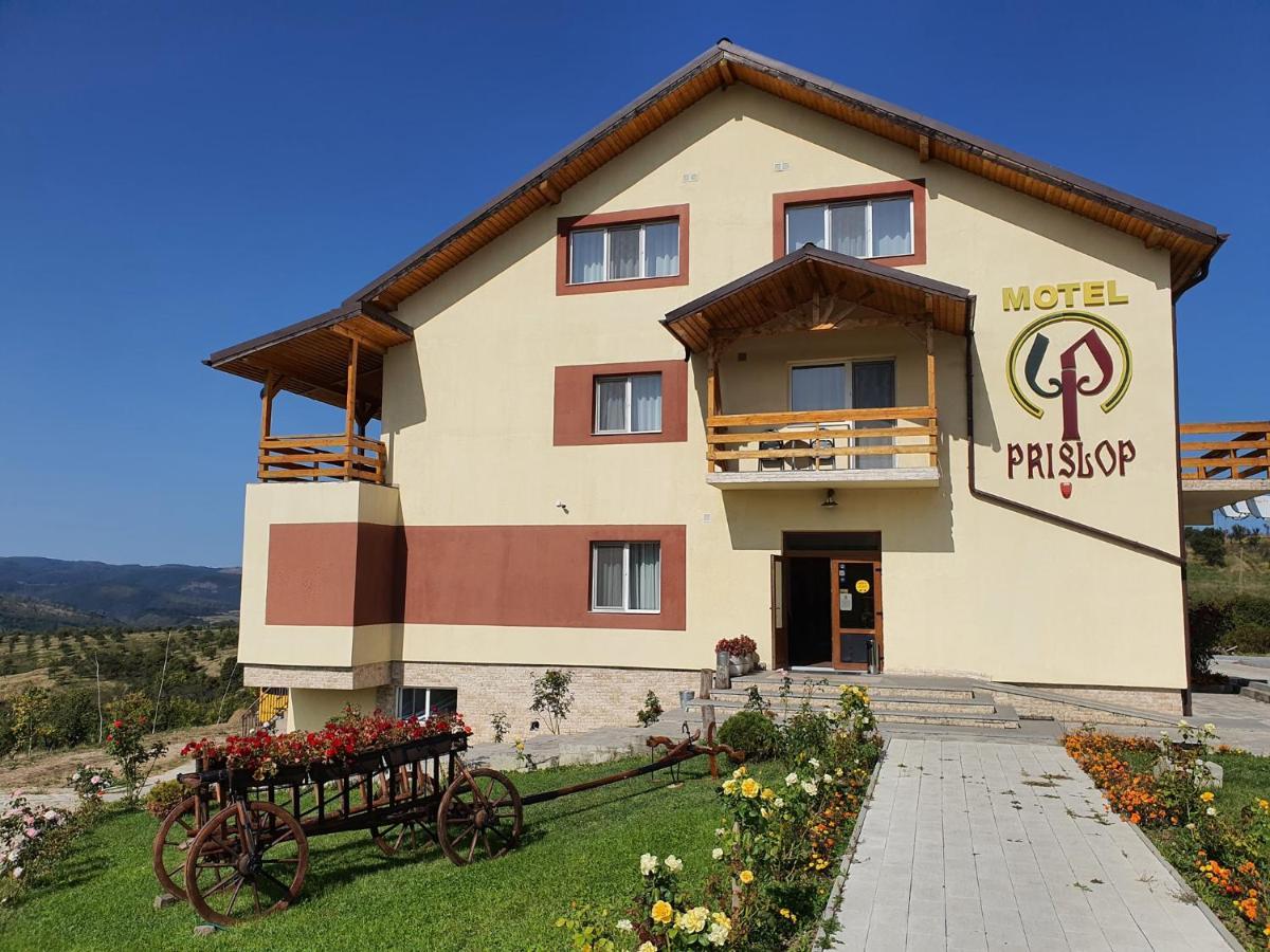 Motel Prislop Haţeg Exterior foto